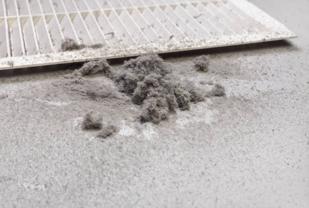 Best Air Duct Mold Removal  in Whiskey Creek, FL